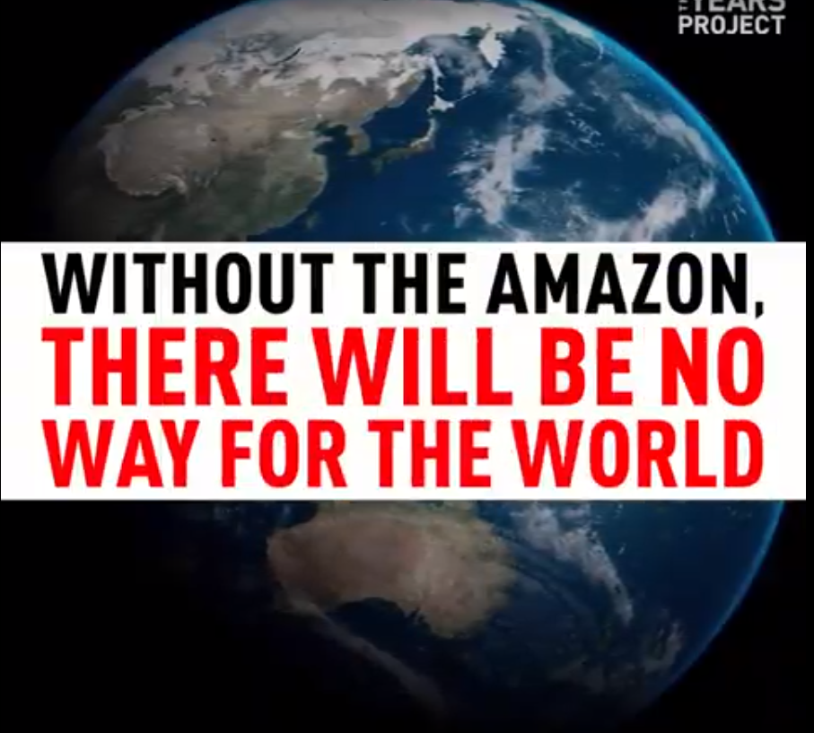 2019-01-06_22_00_36-theyearsproject.com_video_jair-bolsonaro-enemy-of-the-amazon__.png