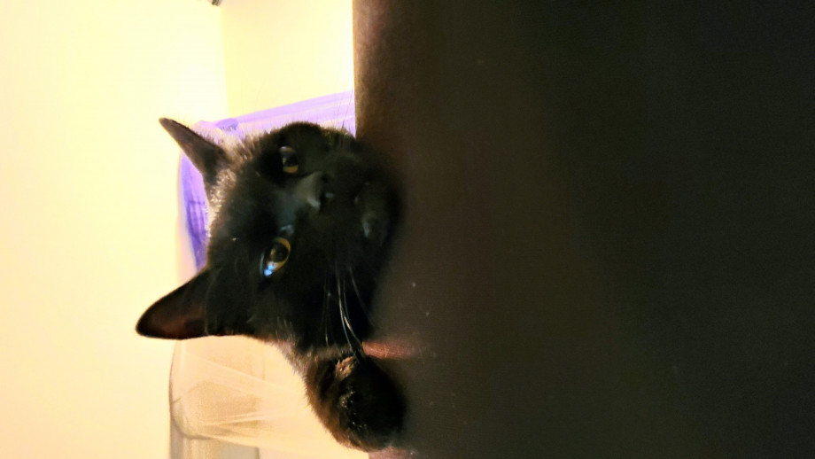 Hogere drempels - Petities.com