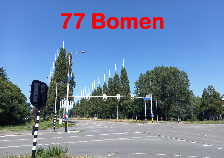 Behoud_de_77_mooie_populieren_bomen_langs_de_Bovenkerkerweg!_011.jpg