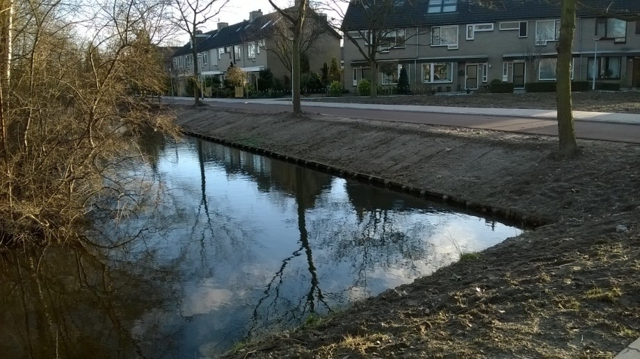 Foto_Buitenoord_kale_grond_na_verwijdering_rozenbottelstruiken_Spits_Klipper_(2).jpg