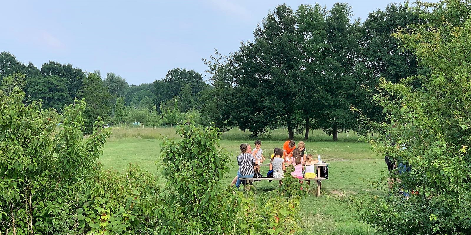 Foto_picknick_bankjes_uitgerekt1.jpg