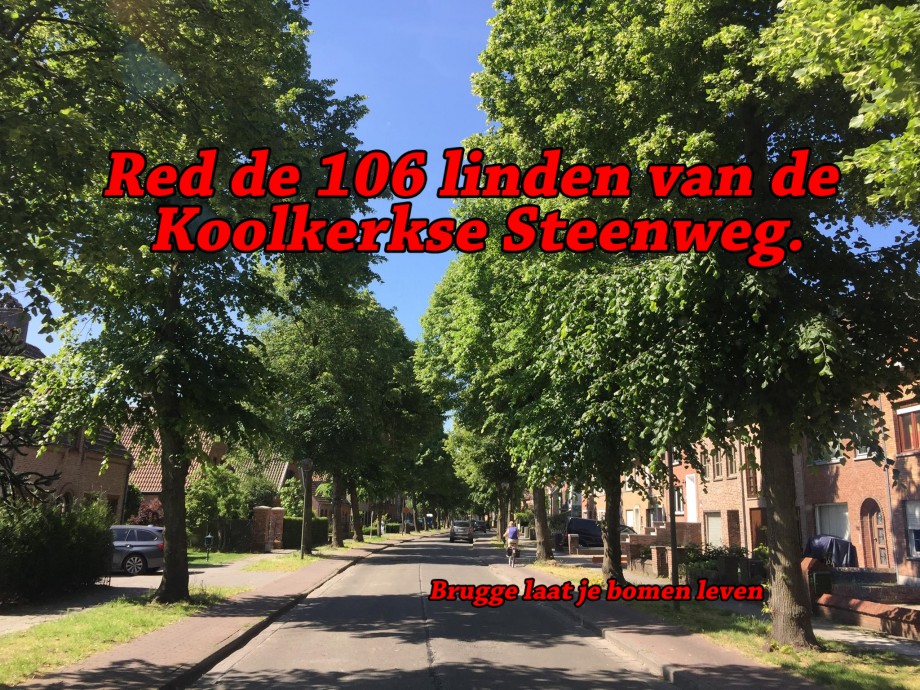 Koolkerkse_Steenweg_nieuw.jpg