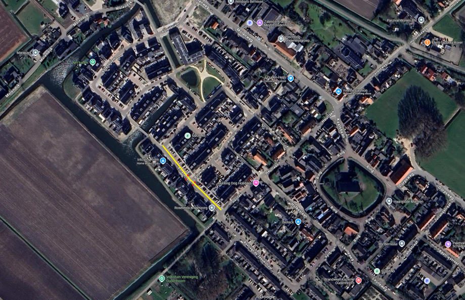 Korenbloem.png