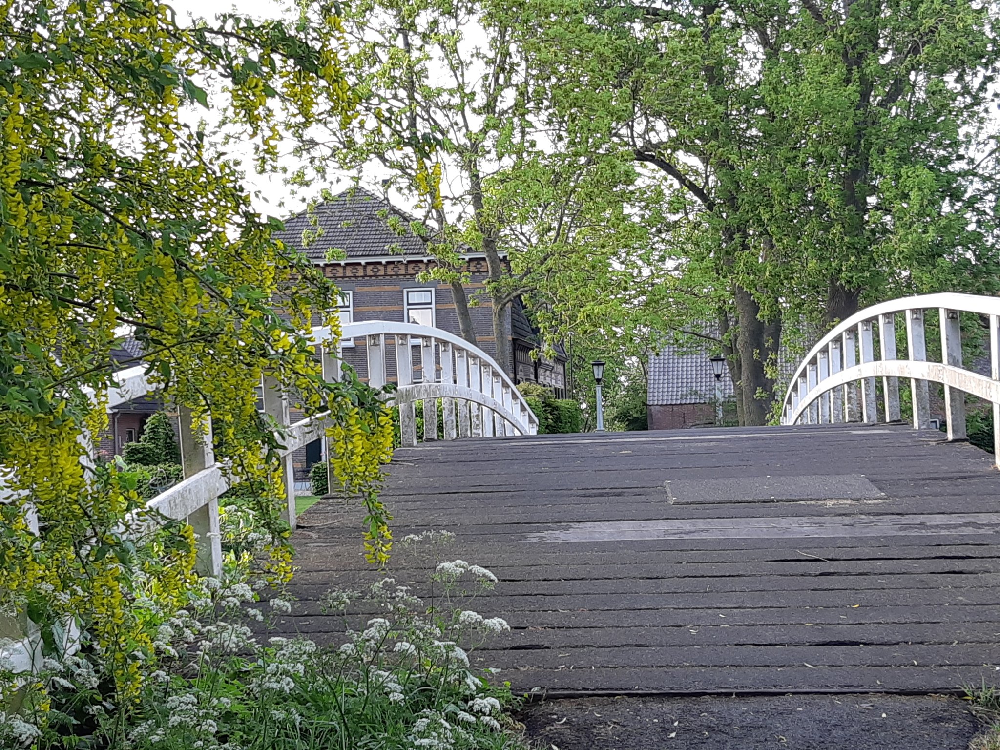 Pinkeveersebrug_2020.jpg