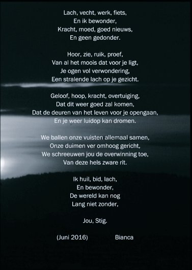 Stig.jpg