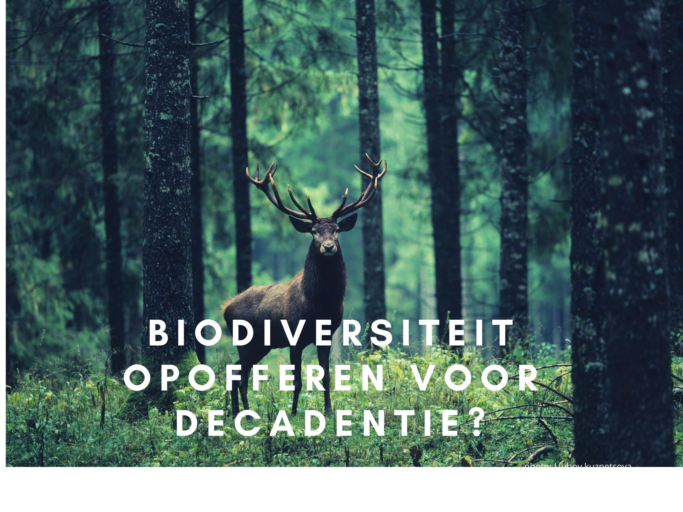 biodiversiteit.jpg