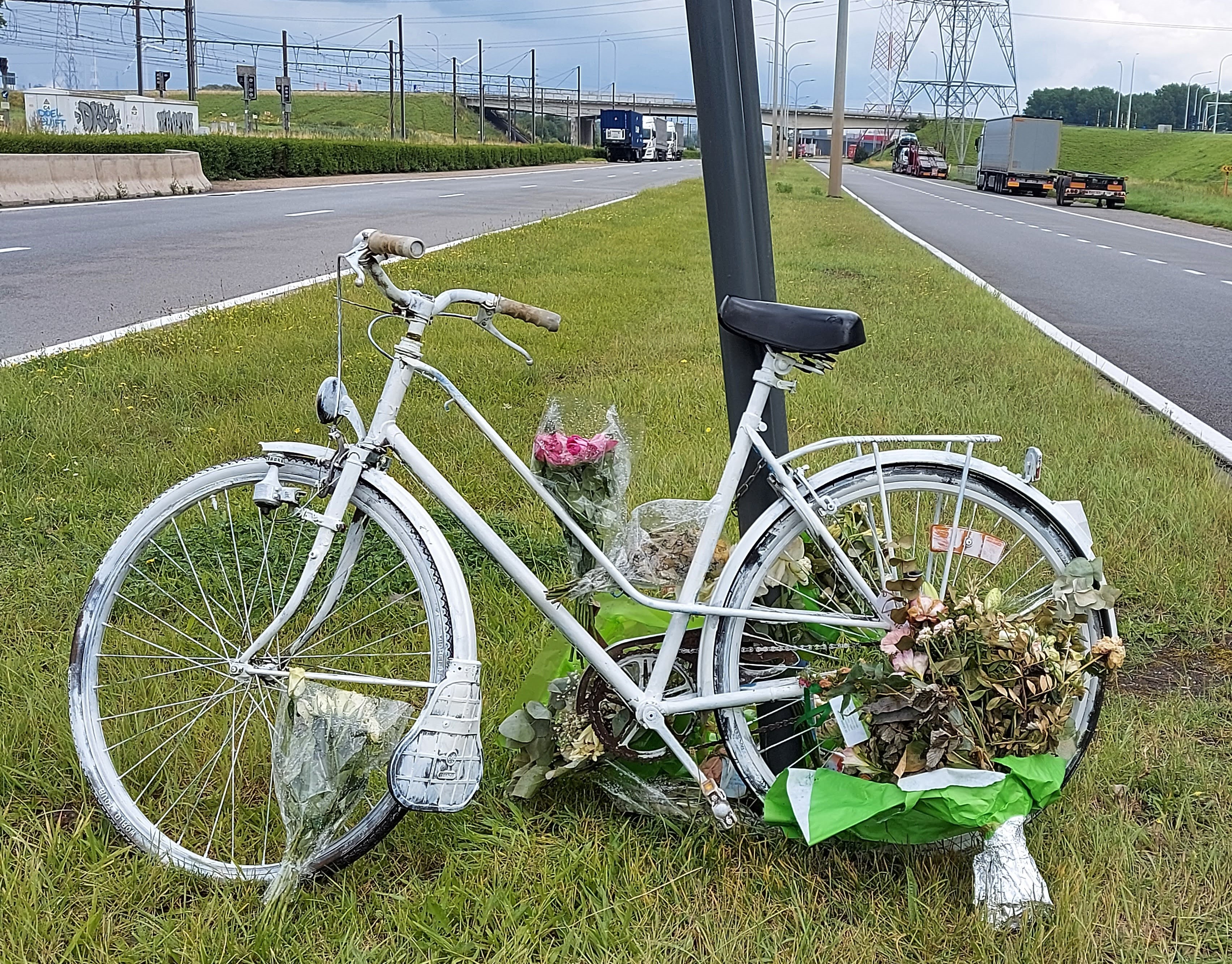 fietsoversteek_Steenlandlaan.jpg