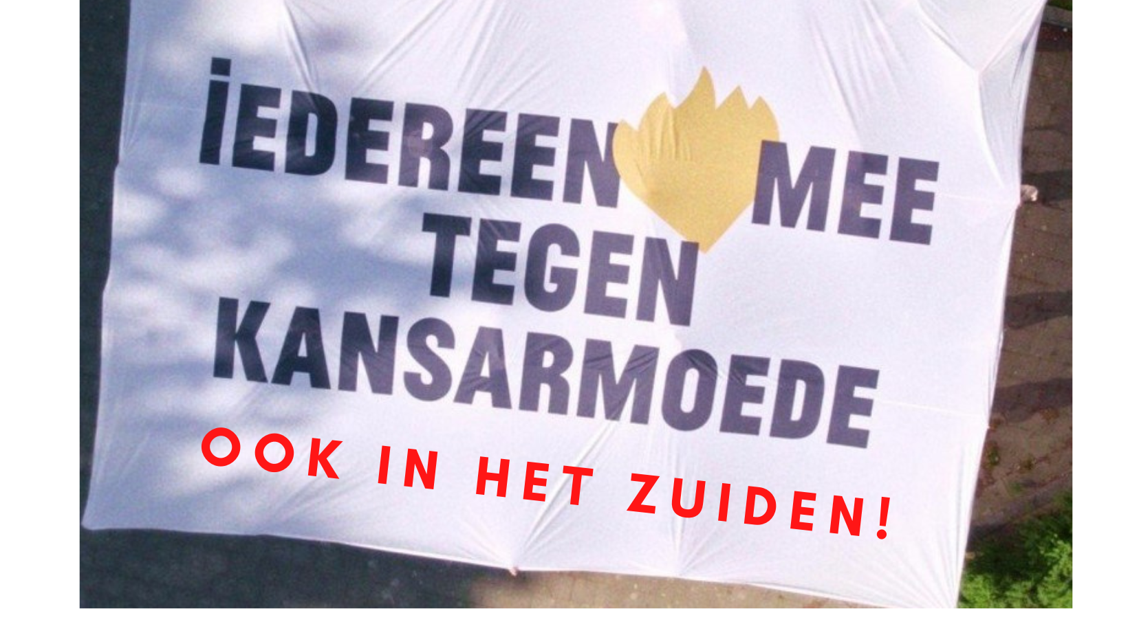 ook_in_het_zuiden.png