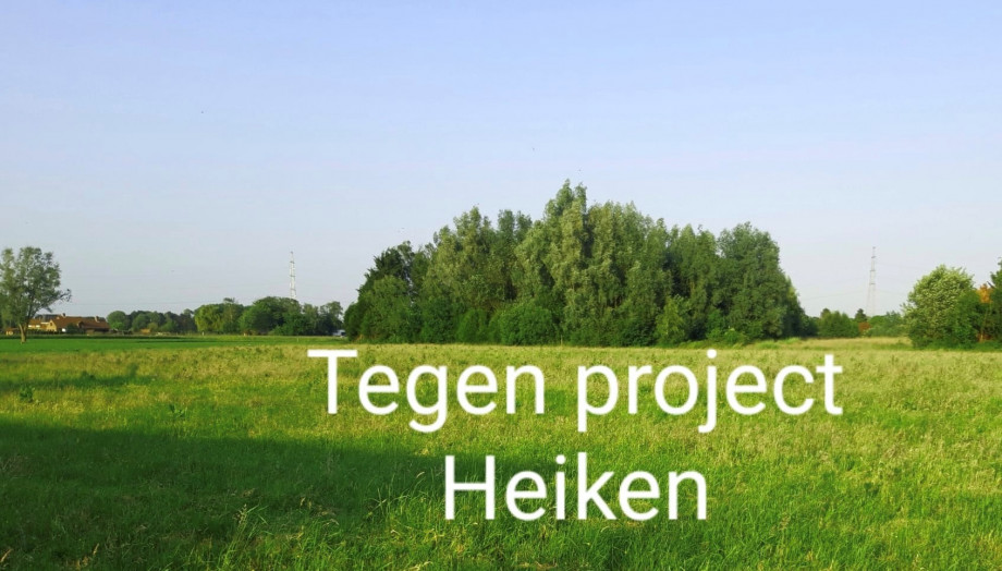 project_Heiken1.jpg