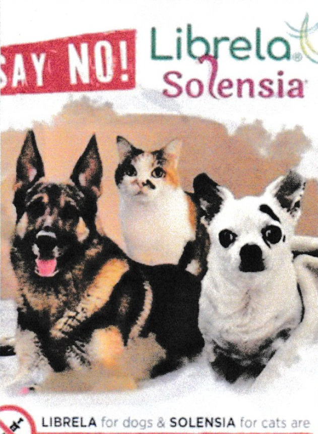 say_no_librela.png