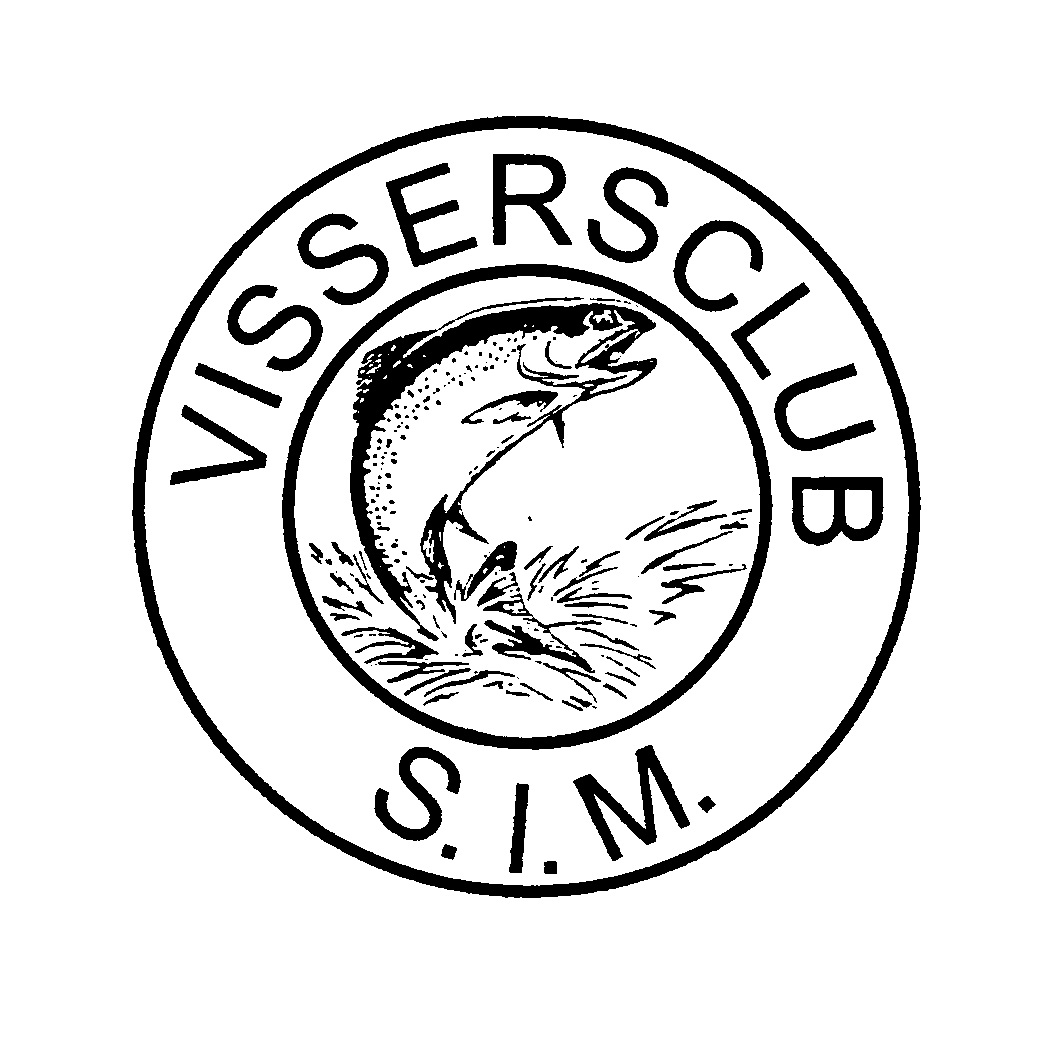 vissim1_1.jpg