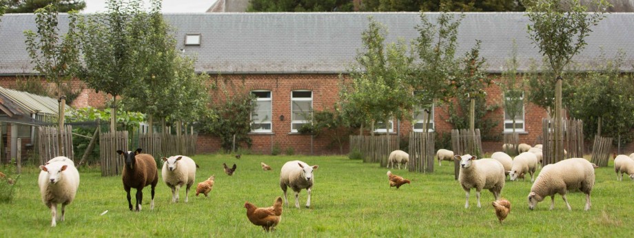 westmalle_boerderij.jpg